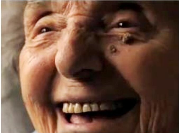 ALICE AU PAYS DE L&rsquo;ÉMERVEILLEMENT