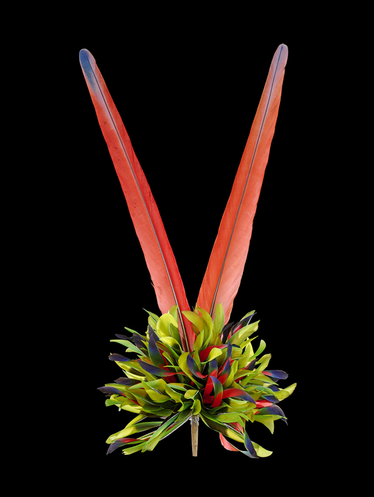 EN AMAZONIE, TOUS LES ÊTRES PENSENT