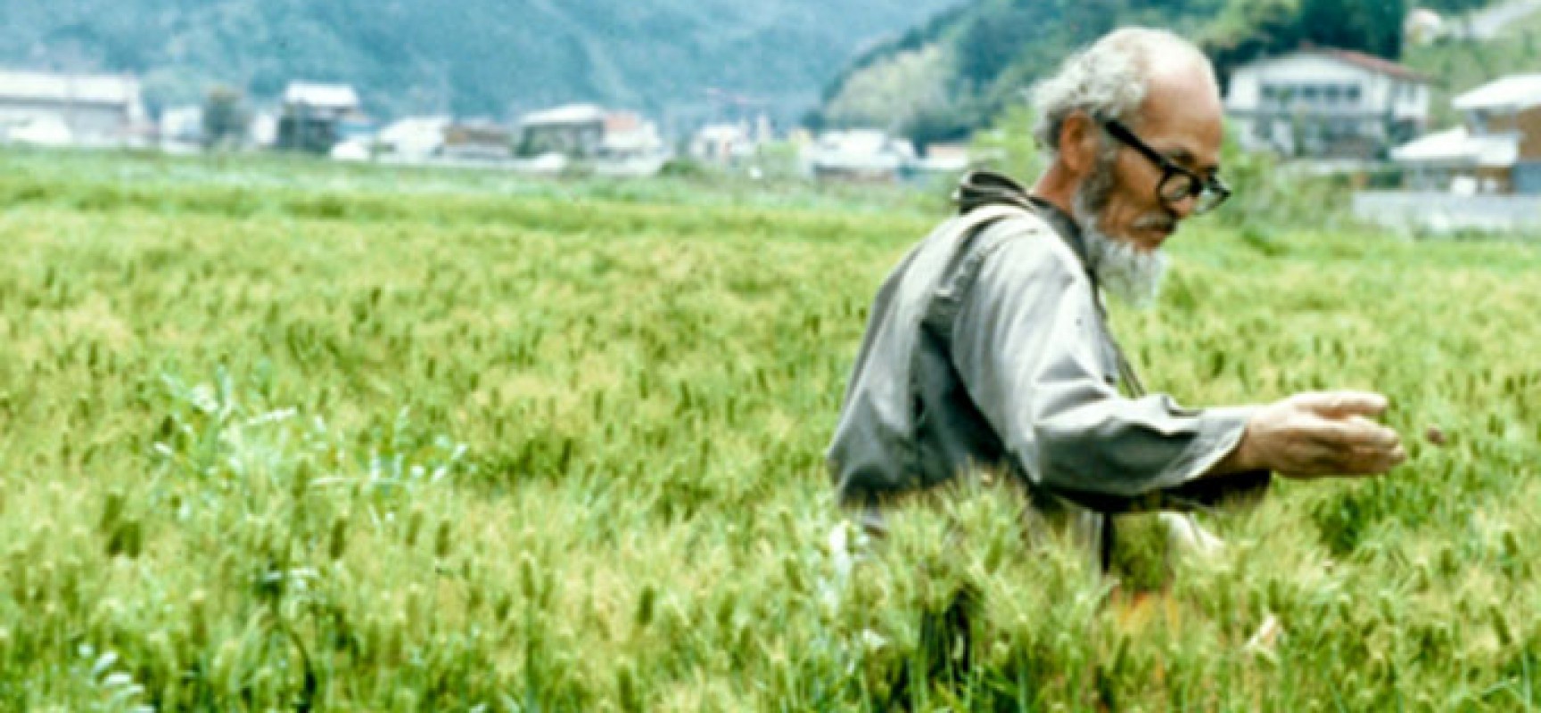 ONE STRAW REVOLUTION | LA RÉVOLUTION D&rsquo;UN SEUL BRIN DE PAILLE