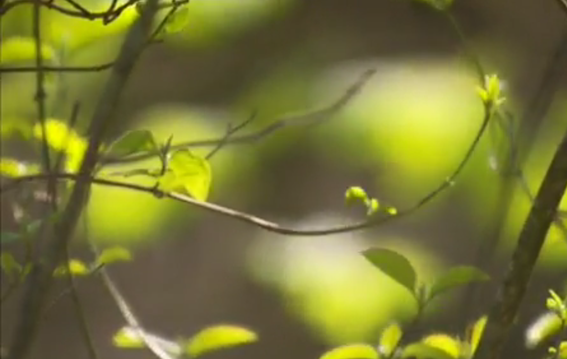 DANS LA TÊTE D&rsquo;UN… GOUROU COACH DE VIE