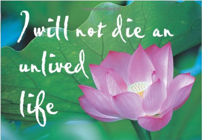 JE NE MOURRAI PAS UNE VIE NON VÉCUE