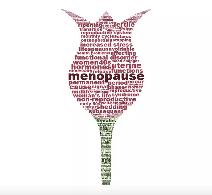 LA FABRIQUE DE LA MÉNOPAUSE