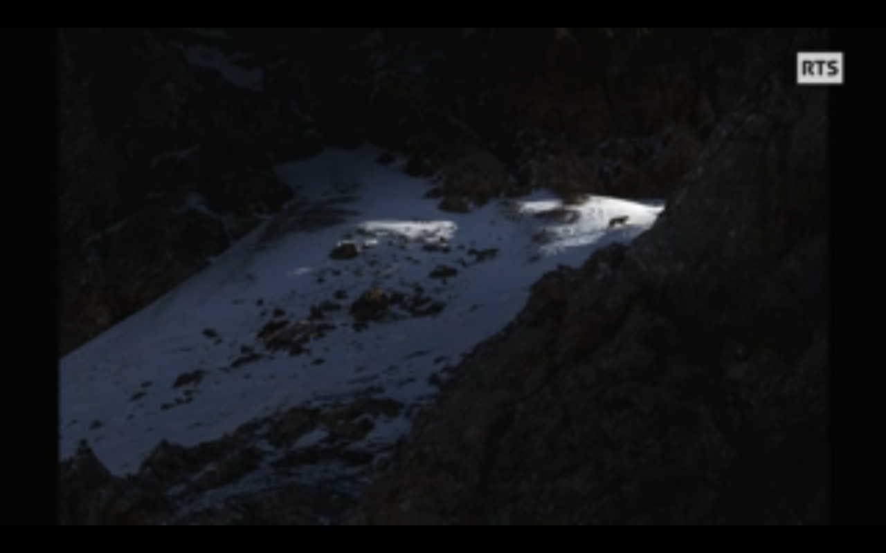 VINCENT MUNIER, ÉTERNEL ÉMERVEILLÉ