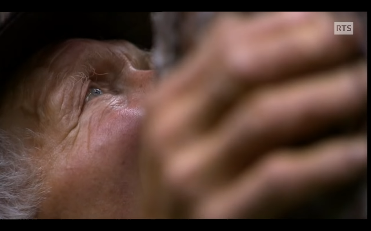 LE CUEILLEUR D&rsquo;ARBRES