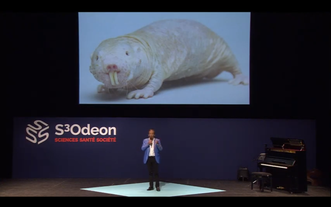 ET SI ON RALLONGEAIT NOS TÉLOMÈRES ?