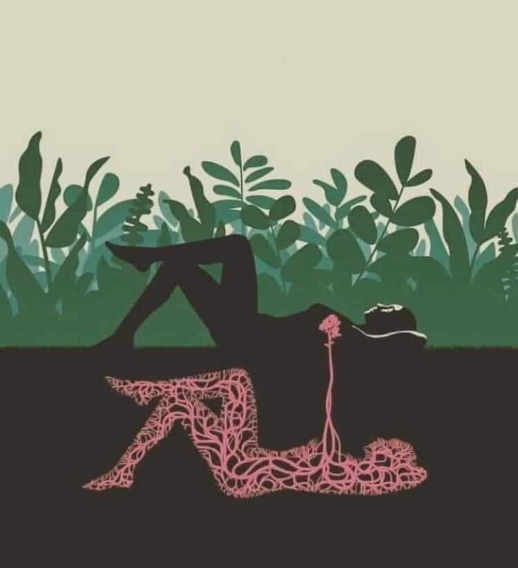 NATURE IS THE ANSWER | LA NATURE EST LA RÉPONSE