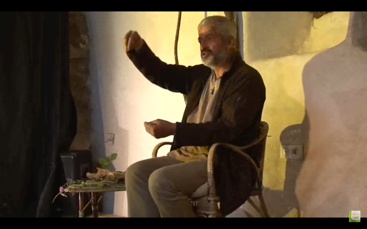 LE VIEIL ARBRE ET LA VIE