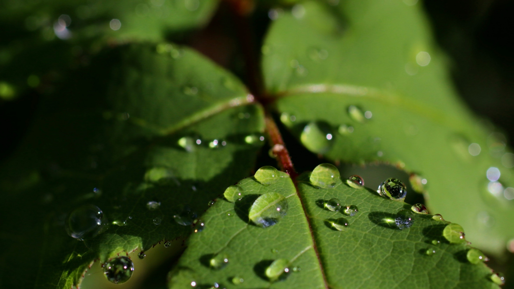 RESTER LE MOINS POSSIBLE À L&rsquo;ABRI