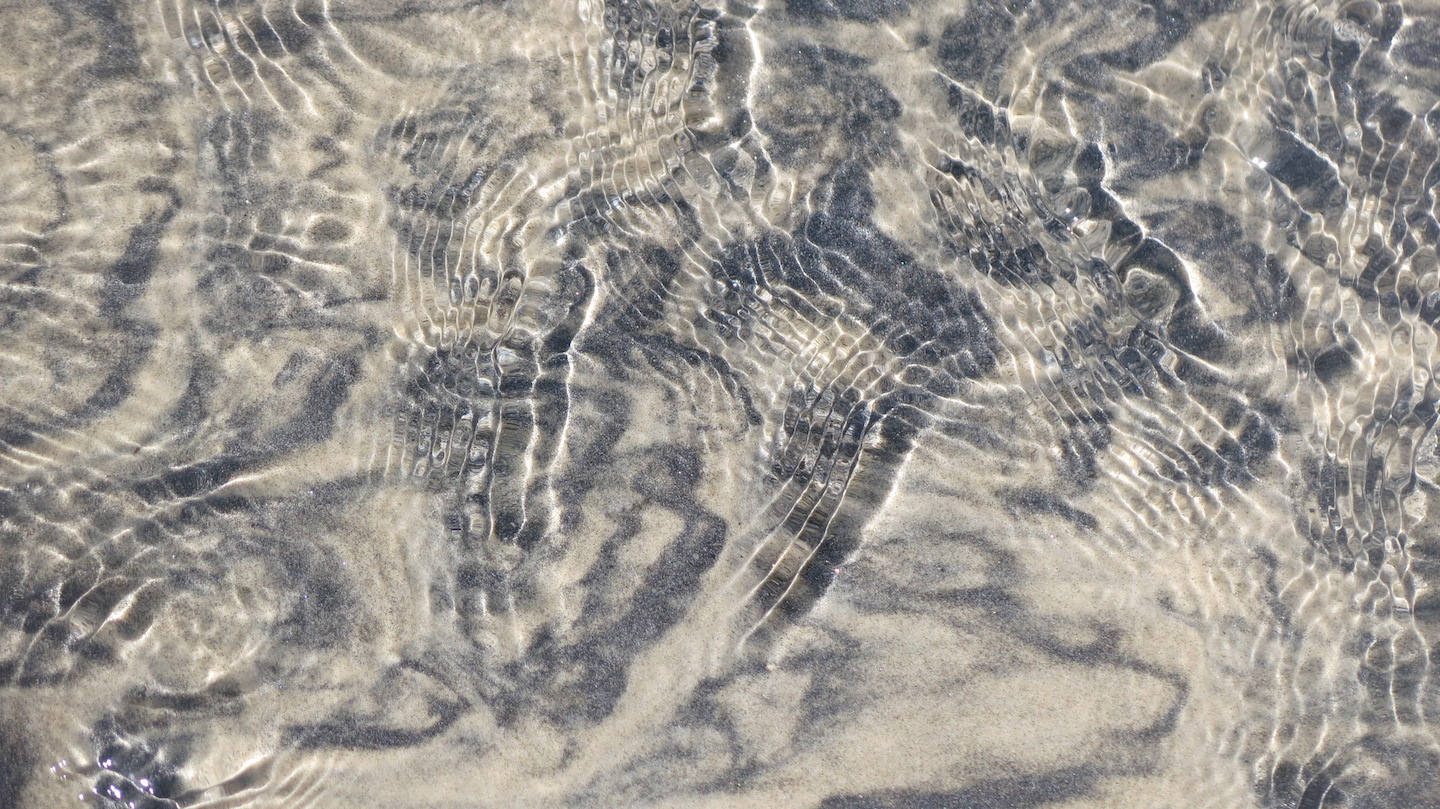 LA CONSCIENCE, AUX ORIGINES DE LA MÉDITATION