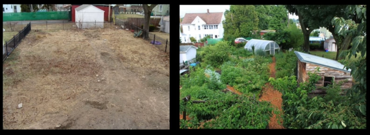 TERRE D&rsquo;ABONDANCE