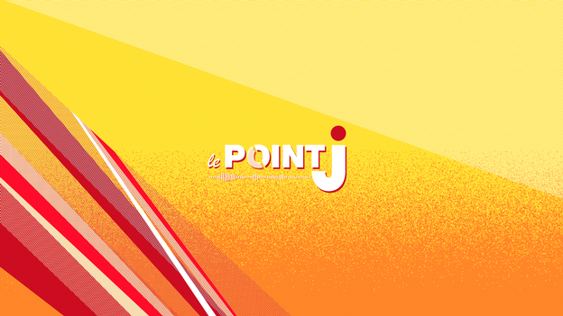 L&rsquo;ILLUSION DU SAVOIR