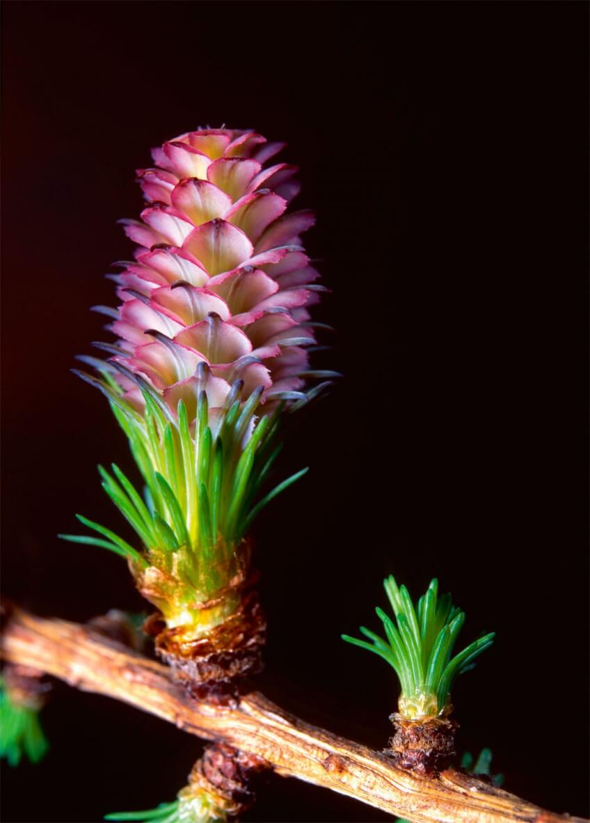 La chronique d'Anna - Sexe