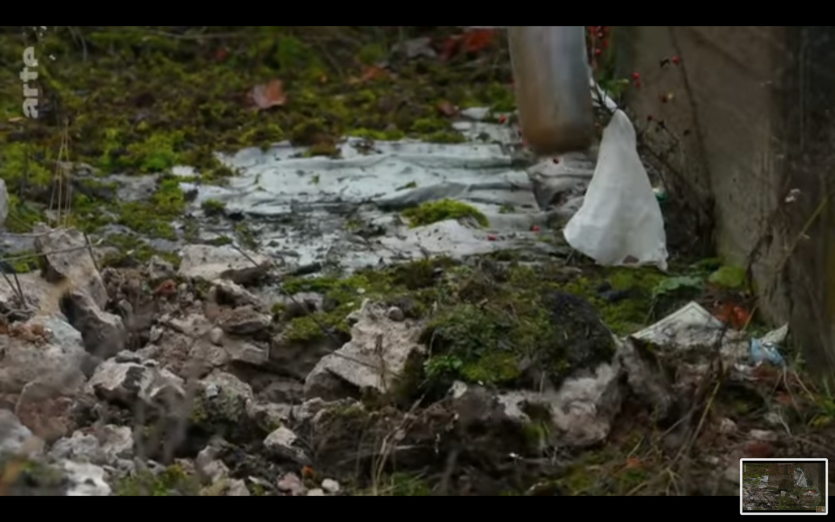 AGRICULTURE RÉGÉNÉRATRICE