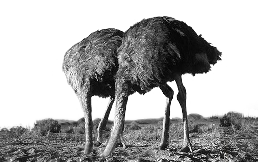 L&rsquo;ÈRE DU DÉNI