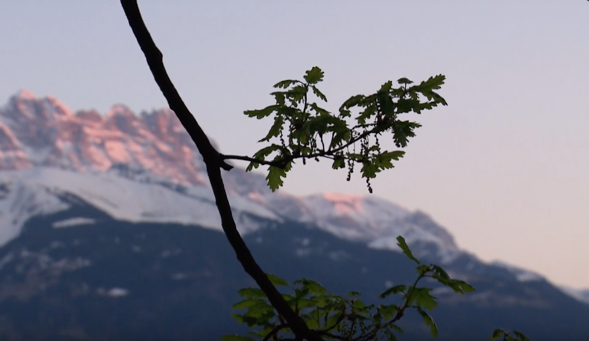 AU PAYS DES MERVEILLES DE WILLIAM