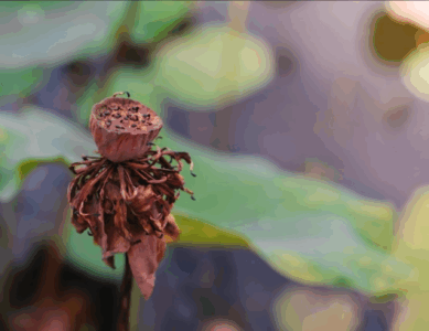 La joie… paradoxale